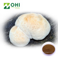 Hericium Erinaceus Extract Fungus Polysaccharides